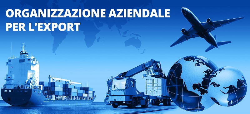 organizzazione aziendale per l'export