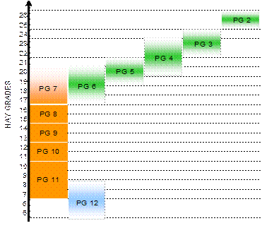 brusch01