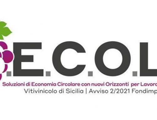 Soluzioni di Economia Circolare per nuovi Orizzonti di Lavoratori e Imprese